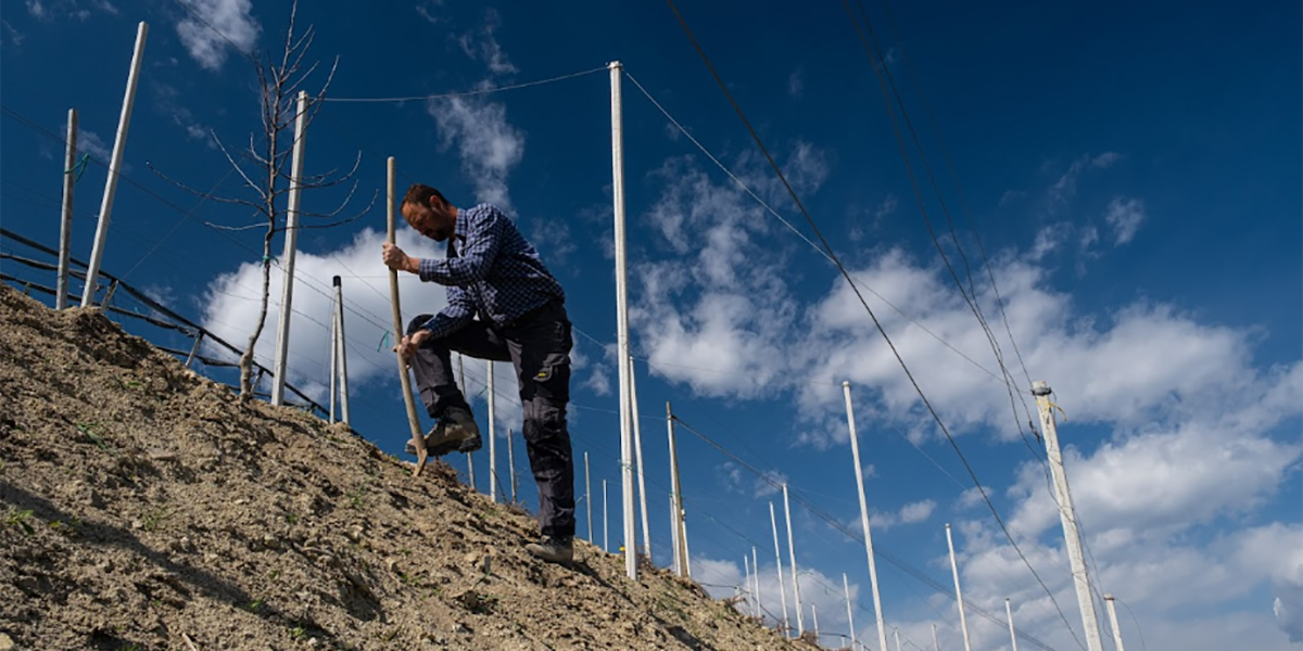 Melinda e xFarm avviano un progetto a sostegno di suolo e ambiente